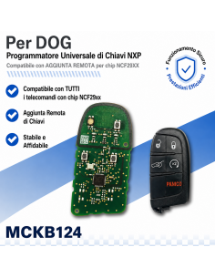 ADATTATORE NXP KILLER PER...
